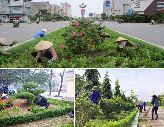 Dịch vụ chăm sóc cây xanh - Công Ty TNHH Phát Triển Công Nghệ Và Môi Trường Thiên Tân