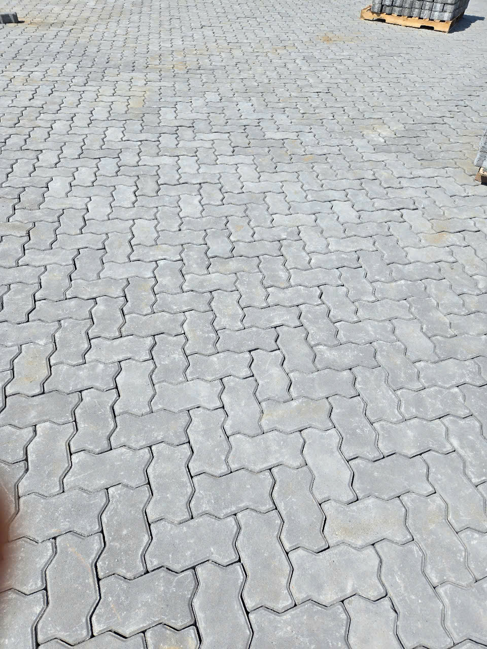 Gạch con sâu - Gạch Long Hưng - Công Ty TNHH Gạch Long Hưng