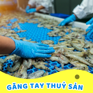 Găng tay chế biển thủy hải sản đông lạnh TTGloves