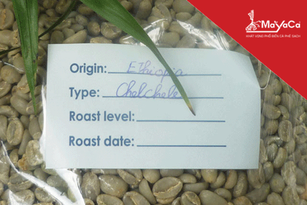 Arabica Ethiobian SME1