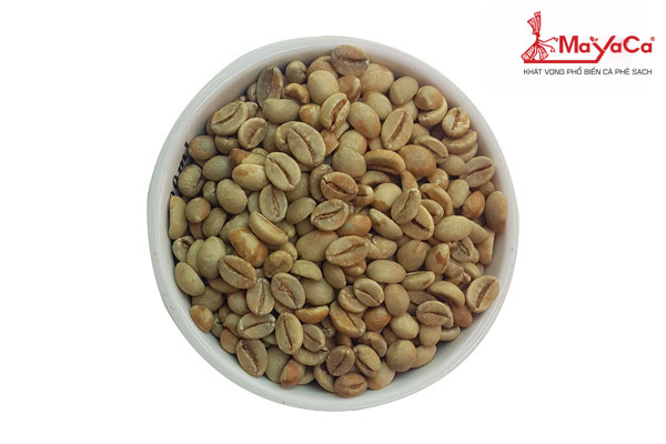 Nhân xanh Robusta