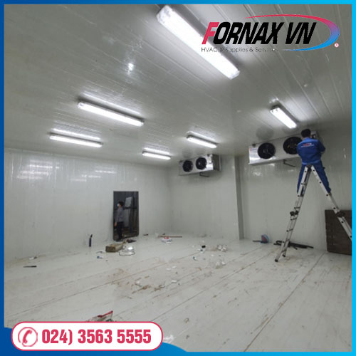 Thi công hệ thống kho lạnh bảo quản rau xanh - Cơ Điện Lạnh Fornax - Công Ty Cổ Phần Cơ Điện Lạnh Fornax Việt Nam