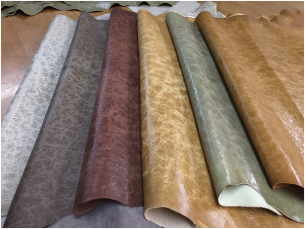 Kim Hòa Leather – Công Ty TNHH Xuất Nhập Khẩu Kim Hòa