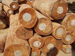 Gỗ cao su - Gỗ Châu Phúc - Công Ty TNHH Gỗ Châu Phúc
