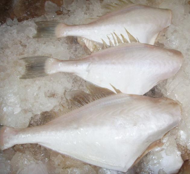 Cá bò lột da đông lạnh - Thực Phẩm Đông Lạnh Kỳ Phong Agro Seafood - Công Ty TNHH Kỳ Phong Agro Seafood