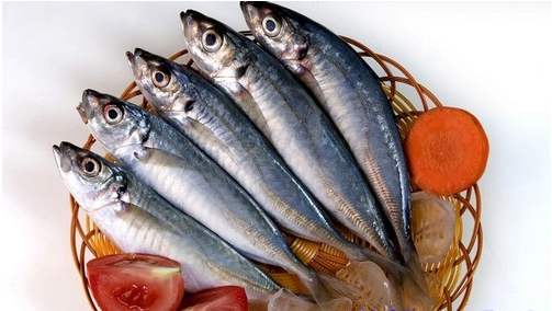 Cá nục đông lạnh - Thực Phẩm Đông Lạnh Kỳ Phong Agro Seafood - Công Ty TNHH Kỳ Phong Agro Seafood