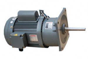 Động cơ giảm tốc - Băng Tải Tín Phát - Công Ty Cổ Phần Thiết Bị Vật Tư Tín Phát