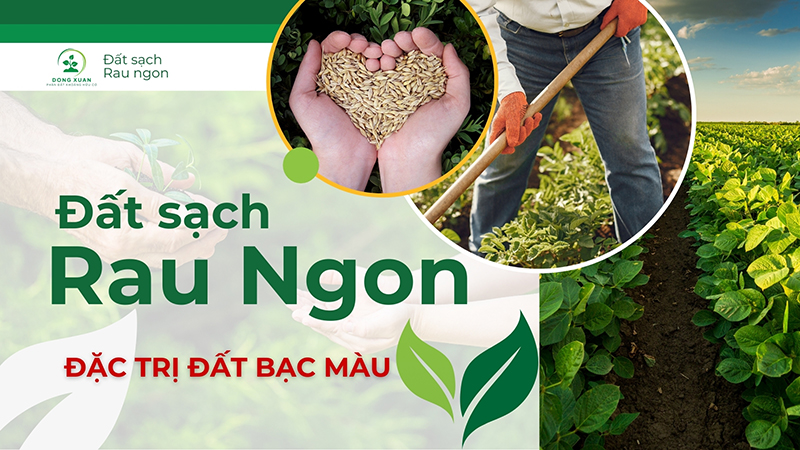 Thông tin sản phẩm đất sạch - Đất Nông Nghiệp Dinh Dưỡng KAIZEN Việt Nam - Công Ty Cổ Phần Thiết Bị Công Nghiệp KAIZEN Việt Nam