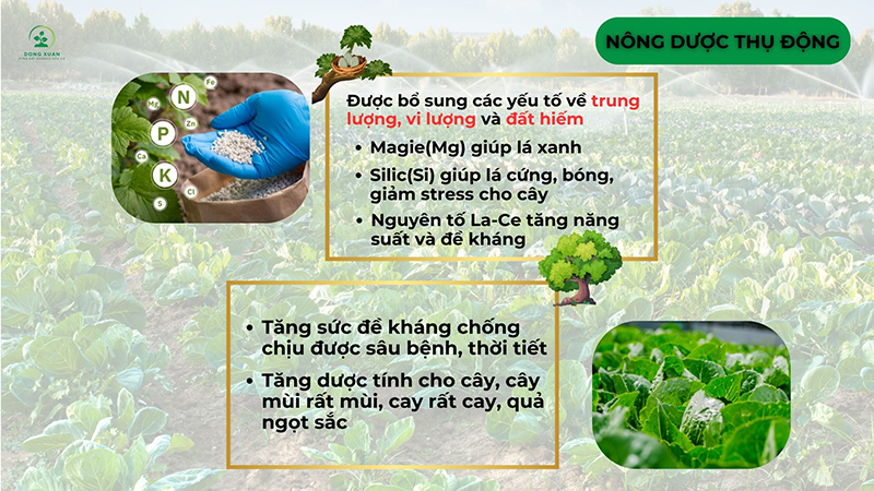 Thông tin sản phẩm đất sạch - Đất Nông Nghiệp Dinh Dưỡng KAIZEN Việt Nam - Công Ty Cổ Phần Thiết Bị Công Nghiệp KAIZEN Việt Nam