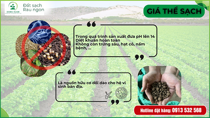 Thông tin sản phẩm đất sạch