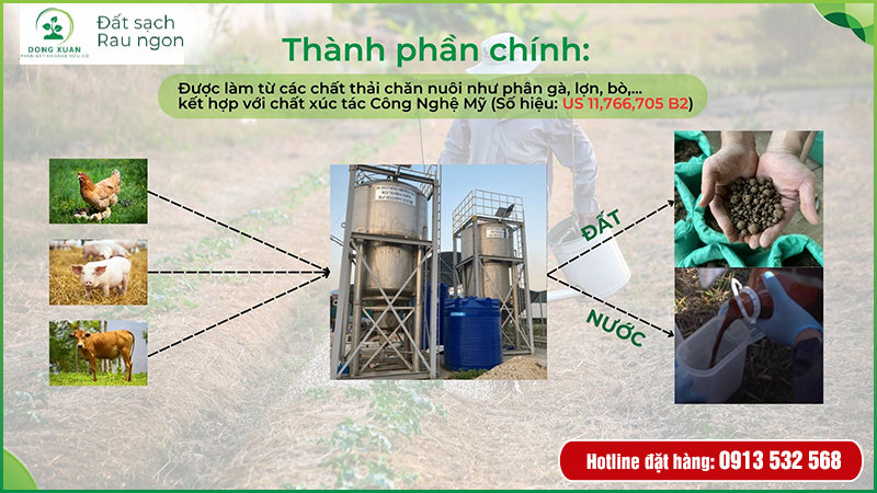 Thông tin sản phẩm đất sạch