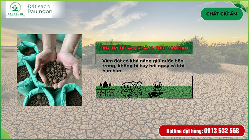Thông tin sản phẩm đất sạch
