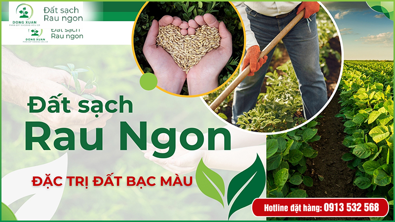 Thông tin sản phẩm đất sạch