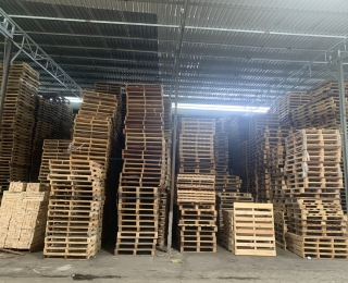 Hình ảnh nhà xưởng Pallet Toàn Phát - Pallet Toàn Phát - Công Ty TNHH Một Thành Viên Thương Mại Dịch Vụ Pa Lét Toàn Phát