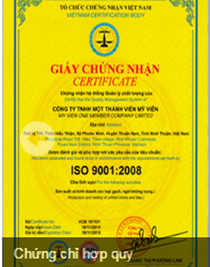 Chứng nhận ISO 9001:2008