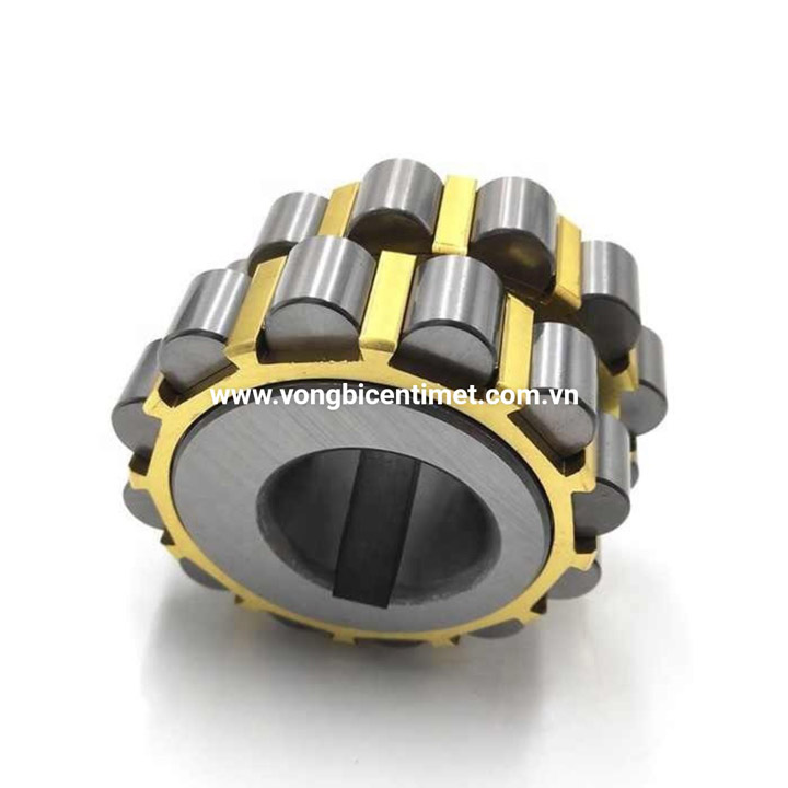 Bi lệch tâm đôi