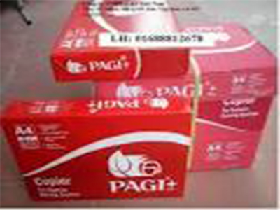 Giấy in Pagi Plus ĐL 73/90
