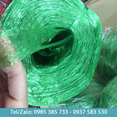 Dây nilon buộc hàng màu xanh 600g - Đồ Nhựa Dùng 1 Lần Thu Hồng - Công Ty TNHH Thương Mại Thu Hồng
