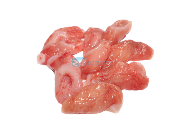 Bao tử cá basa