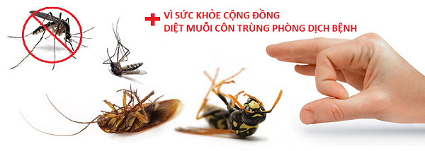 Dịch vụ - Công Ty TNHH Thương Mại Dịch Vụ Greendy