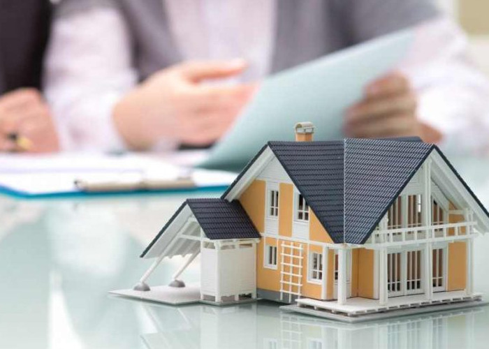 Dịch vụ thành lập hộ kinh doanh cá thể - Kế Toán Duy Anh - Công Ty TNHH Đầu Tư Phát Triển Và Dịch Vụ Duy Anh