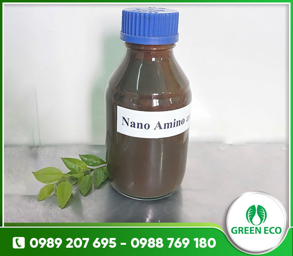Nano Amino Axit