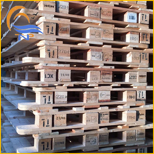 Hình ảnh kho hàng công ty Thiên Nam Phú