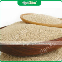 Men vi sinh Concentrated Probiotic