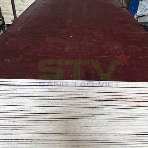 Ván ép coppha phủ keo