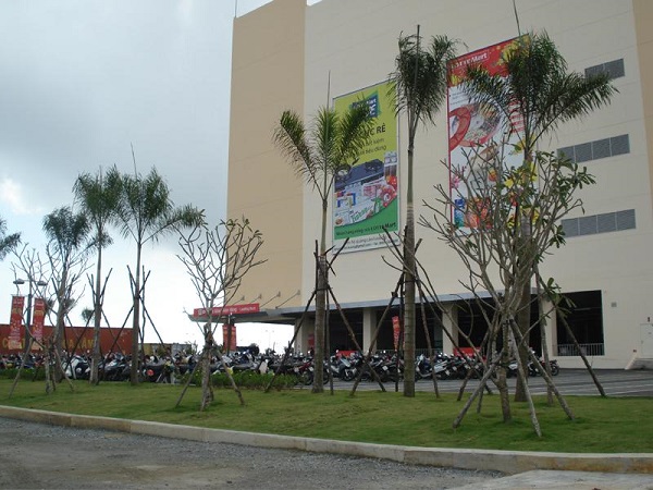 Cây xanh hệ thống Lotte Việt Nam