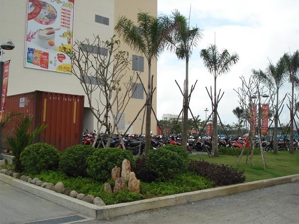 Cây xanh hệ thống Lotte Việt Nam