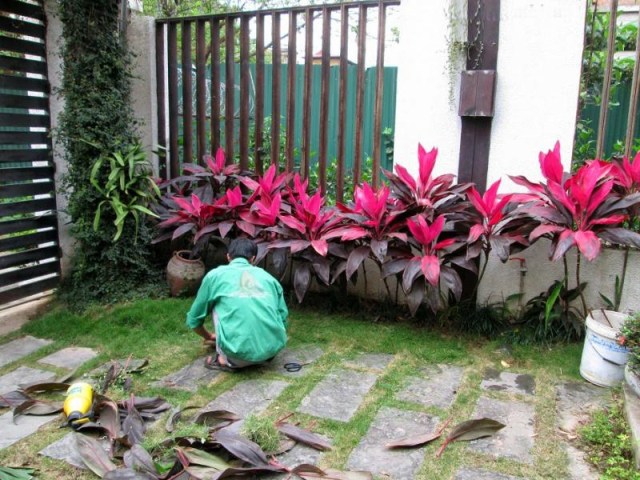 Dịch vụ chăm sóc cảnh quan
