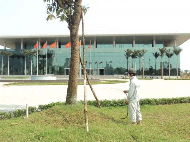 Dịch vụ chăm sóc cảnh quan