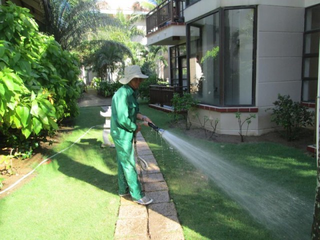 Dịch vụ chăm sóc cảnh quan