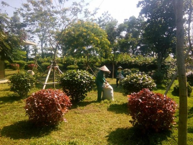 Dịch vụ chăm sóc cảnh quan