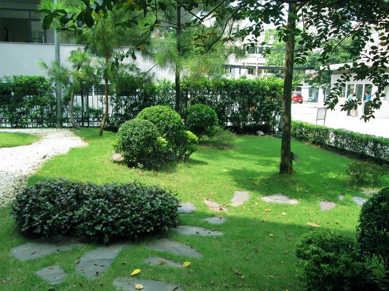 Thi công tiểu cảnh TT Việt Nhật
