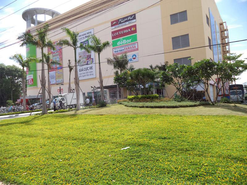 Thi công tiểu cảnh tòa nhà Lotte