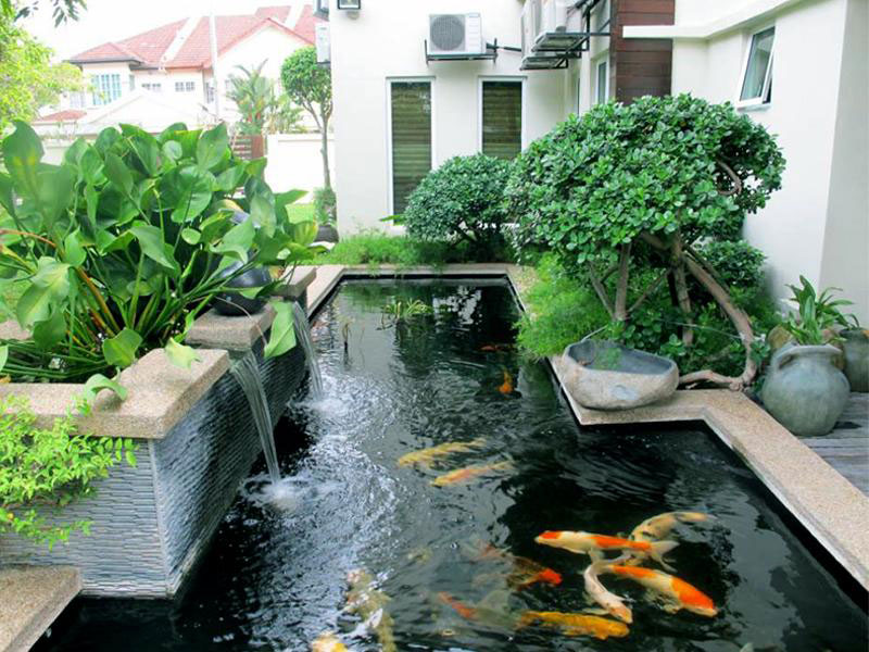 Thiết kế cảnh quan