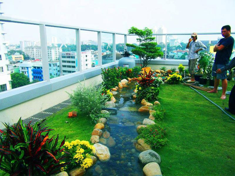 Thiết kế cảnh quan