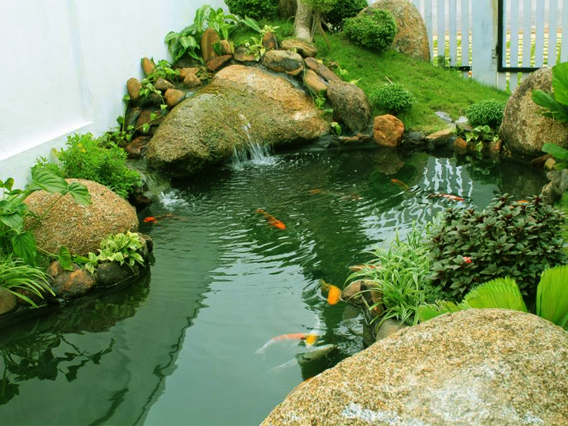 Thiết kế cảnh quan