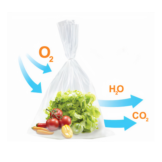 Túi GreenMAP Bảo Quản Rau Củ Quả - SANCOPACK - Công Ty Cổ Phần Thương Mại & Dịch Vụ Quốc Tế Sao Nam