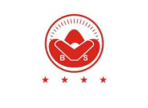 Khắc dấu Logo