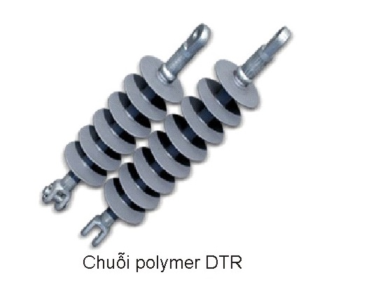 Chuỗi polymer DTR