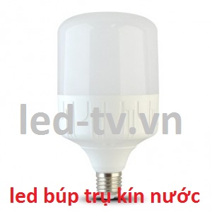 Đèn led búp