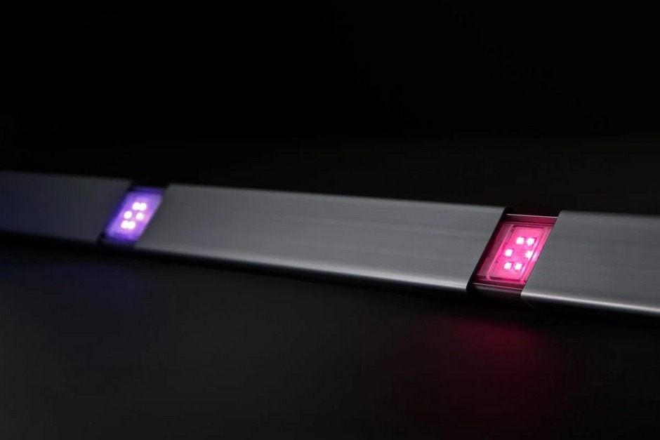 Dây LED điểm Intidot