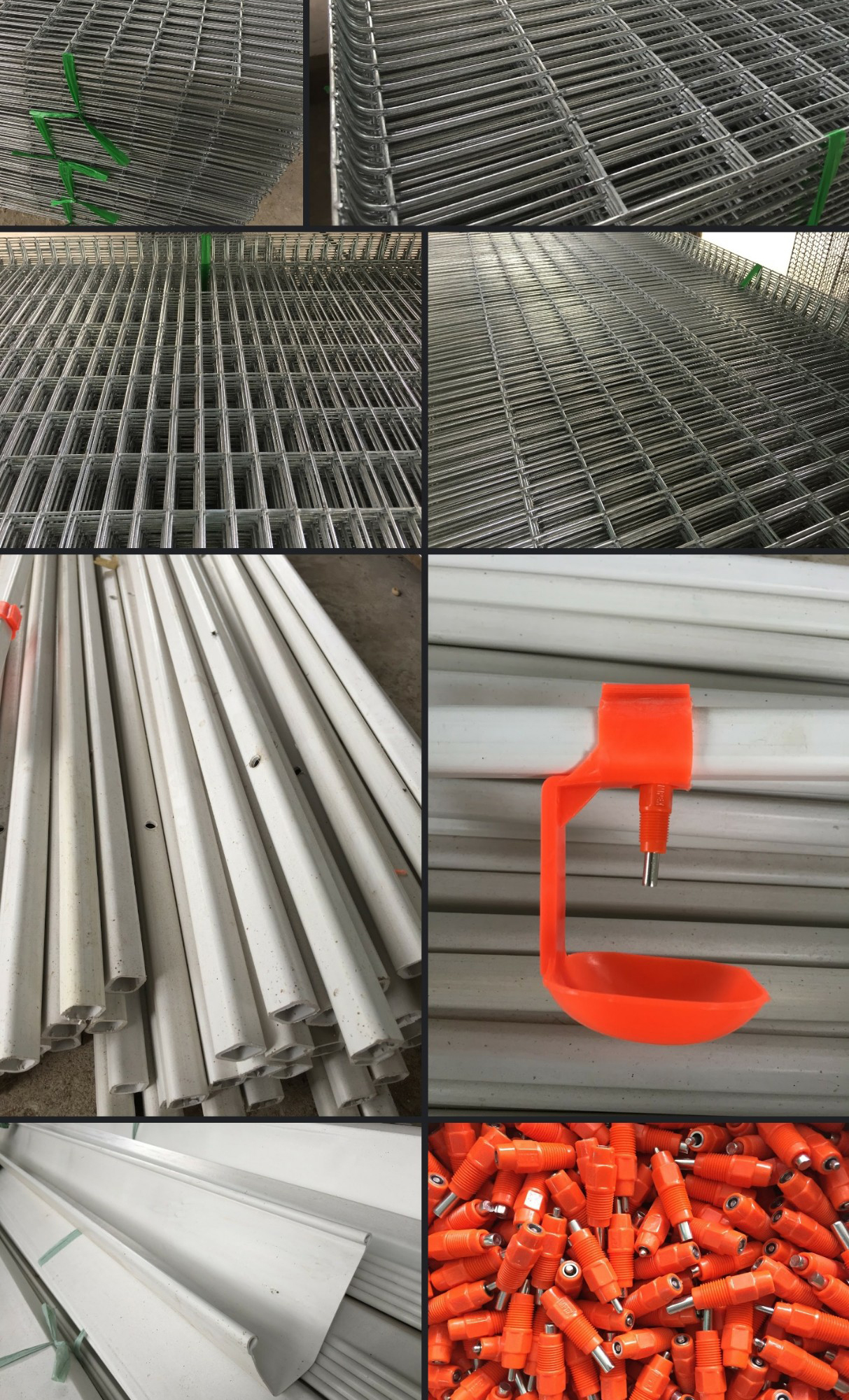Lồng nuôi gà đẻ trứng công nghiệp