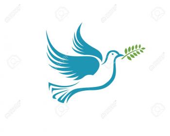  - Khăn Phú Minh Đức - Công Ty TNHH Dệt May Phú Minh Đức