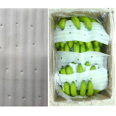 Tấm PE Foam - Vật Liệu Đóng Gói Upack - Công Ty TNHH Upack