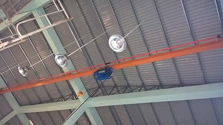 Cầu trục Monorail