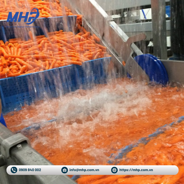 Băng Tải MHP - Công Ty TNHH Kỹ Thuật MHP — hình ảnh từ trangvangvietnam.com
